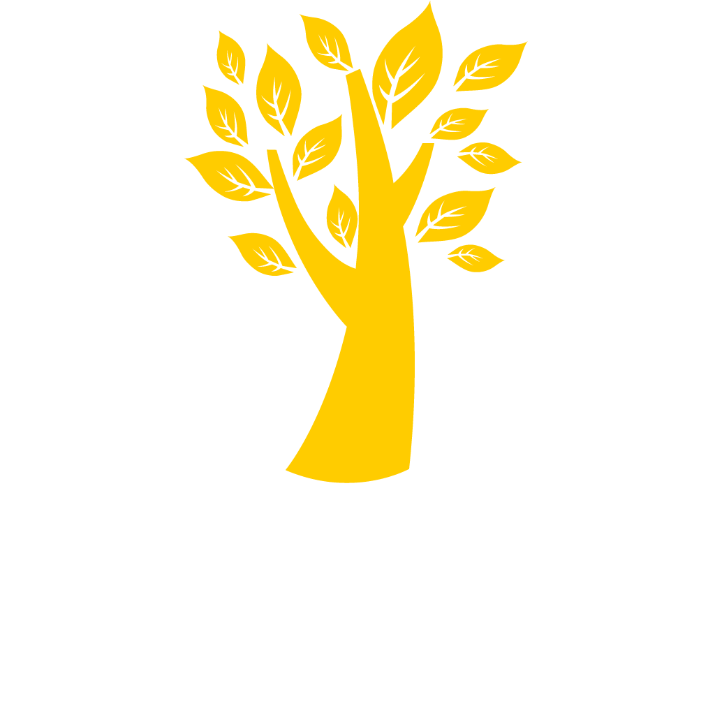 Virtual Quality Partners